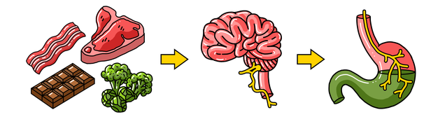 Illustration for article titled Energy Drinks Aren’t Food: A Guide to Good Gaming Health
